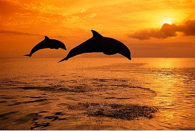 《沙丘：香料战争》多人模式已推出 新视频曝光