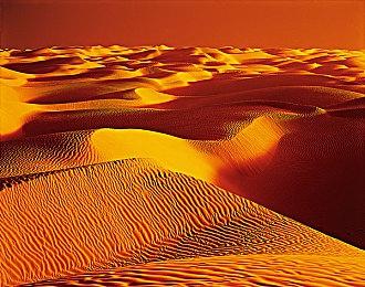 《阿凡达：潘多拉边境》“山峰探秘”故事包正式推出